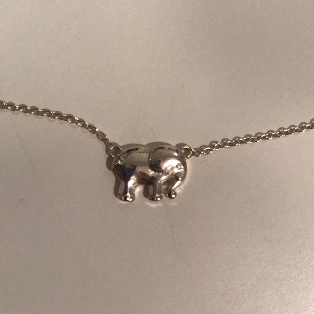 Silver Ivory Ella Necklace